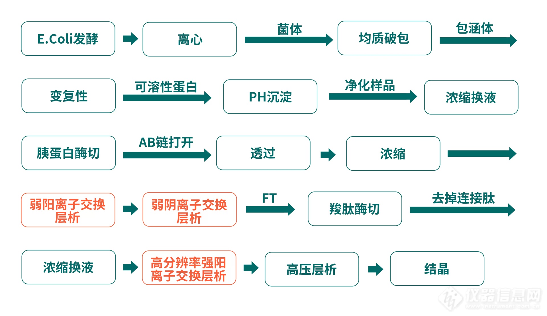 胰岛素-3