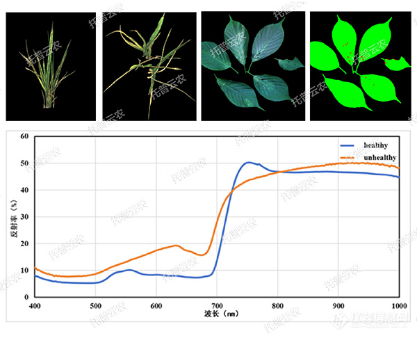 托普云农高通量植物表型采集分析平台全新上线！