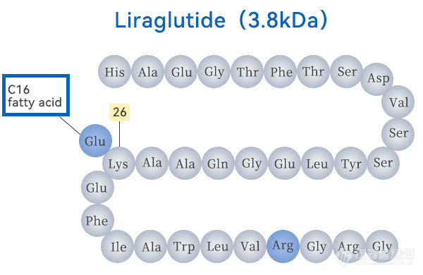 利拉鲁肽结构图.jpg