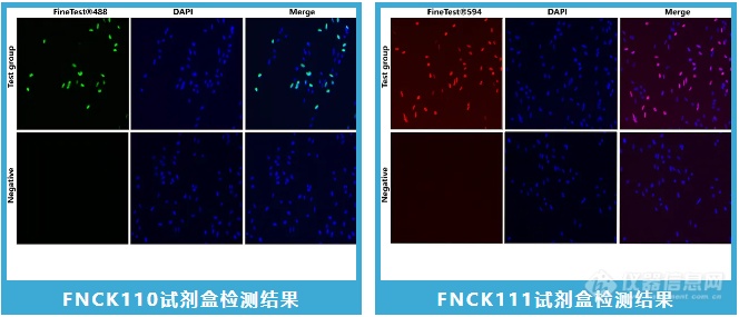 用于荧光成像的试剂盒检测结果