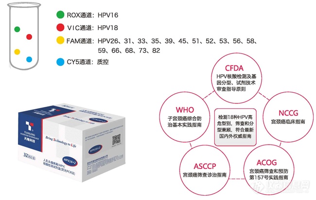 HPV16/18分型联合16种高危亚型检测