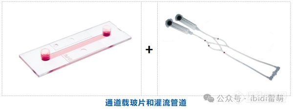 为什么高校、科研实验室、研究所等机构会选用ibidi的流体剪切力系统？