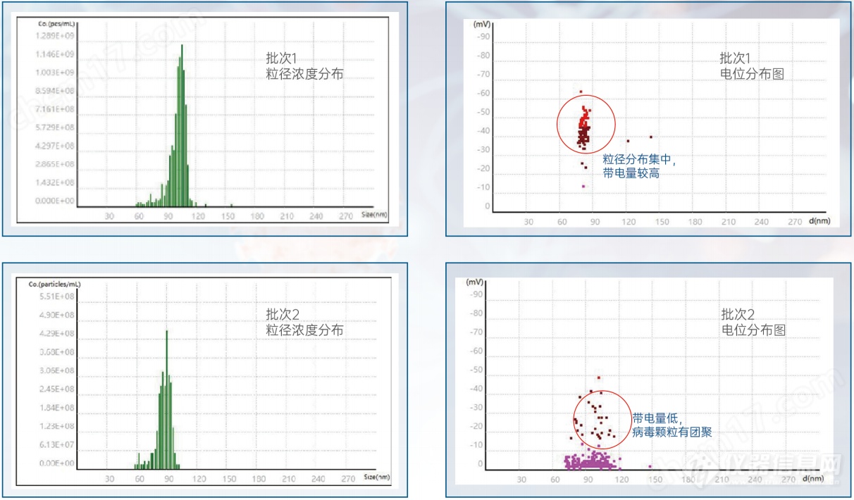 纳米粒度仪（粒径+浓度+电位）