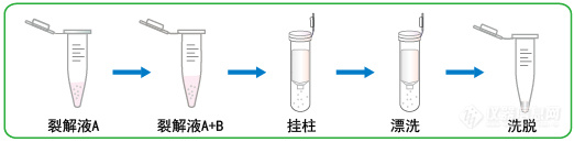 5min极速RNA提取试剂盒