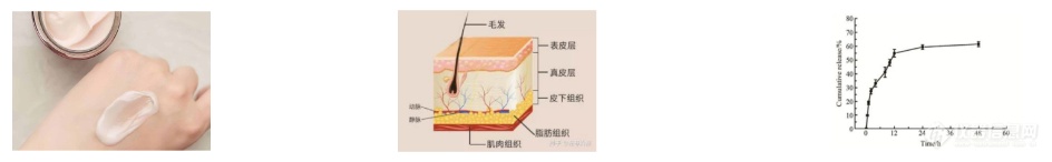 微信截图_20240822112411.png