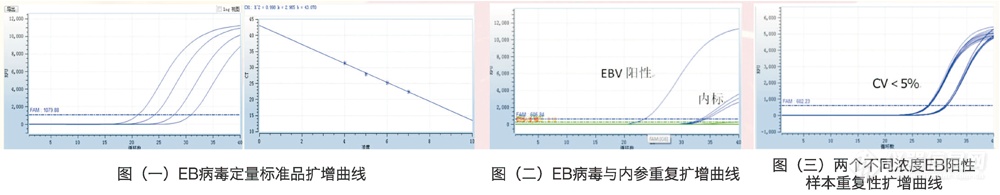 EB病毒核酸检测试剂盒（荧光PCR法）