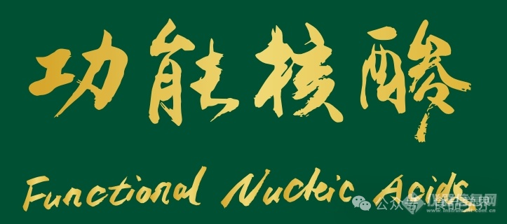 庞国芳、李景虹、樊春海、任发政四位院士推荐！《功能核酸》正式出版！