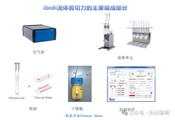 为什么高校、科研实验室、研究所等机构会选用ibidi的流体剪切力系统？