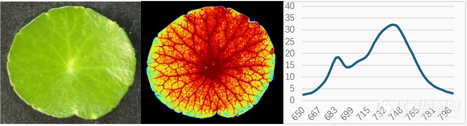 易科泰推出 FluorTron 叶绿素荧光光谱成像分析系统