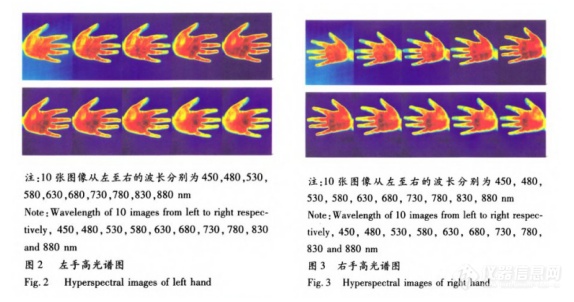 高光谱成像技术对人体面部和手掌的成像及光谱分析