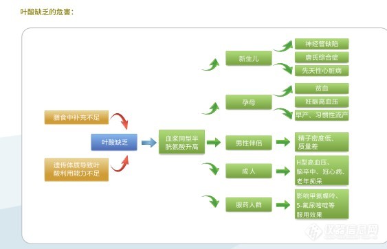 叶酸个体化用药微测序解决方案