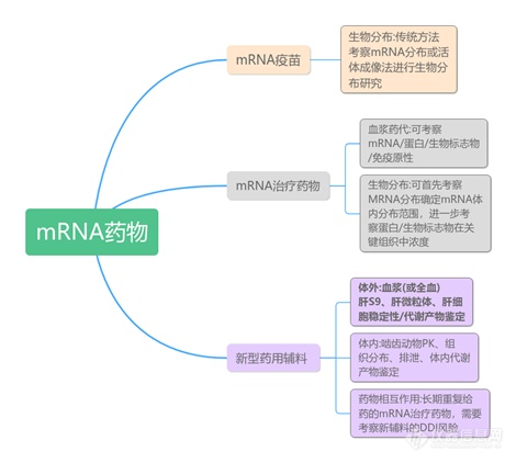 IPHASE/汇智和源 mRNA药物体外代谢研究解决方案