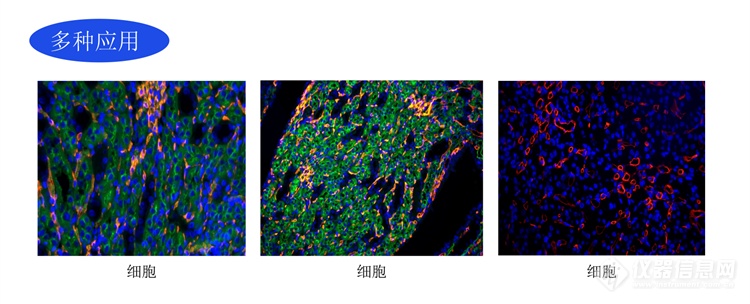 明慧生物倒置六孔LED荧光附件H6-LED-IMH应用升级领域