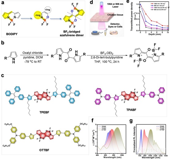 BF2桥联Azafulvene二聚体作为高级光热剂使用1064nm激光驱动用于深部肿瘤治疗
