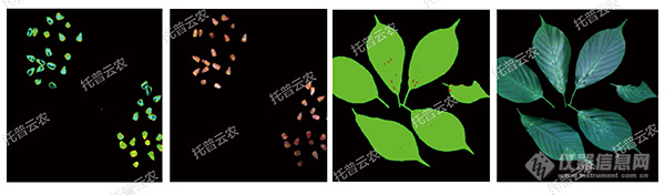 托普云农高通量植物表型采集分析平台全新上线！