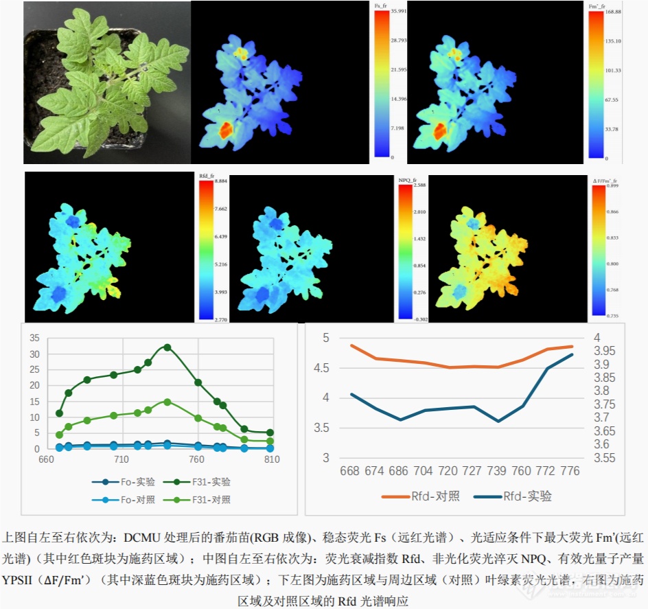 易科泰推出 FluorTron 叶绿素荧光光谱成像分析系统