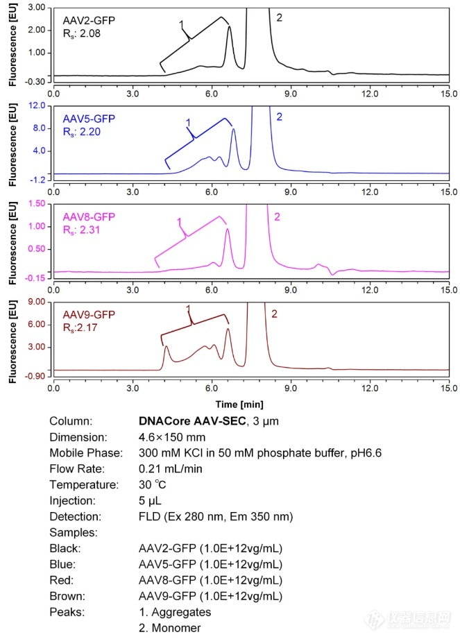 DNACore AAV-SEC色谱柱上市啦！AAV聚体分析利器！