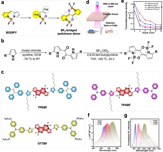 BF2桥联Azafulvene二聚体作为高级光热剂使用1064nm激光驱动用于深部肿瘤治疗