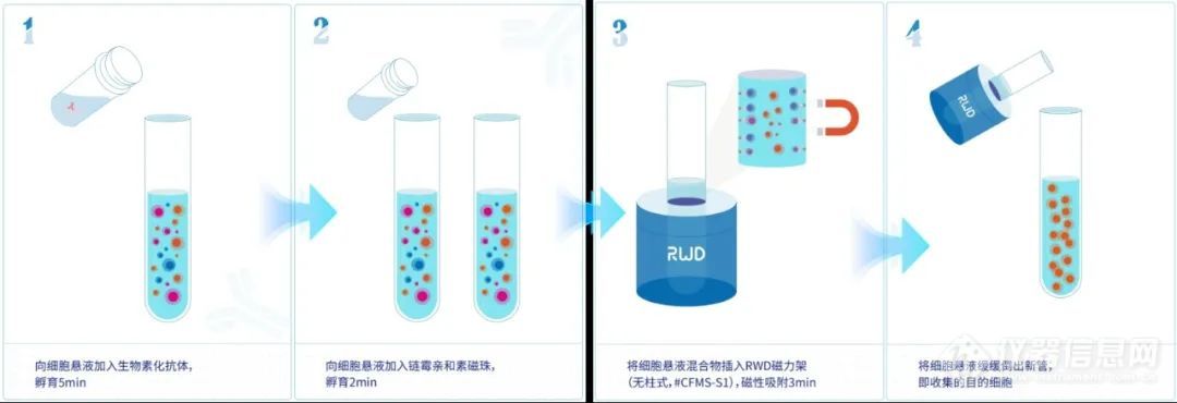 新品速递 | 瑞沃德推出无柱式磁性细胞分选平台