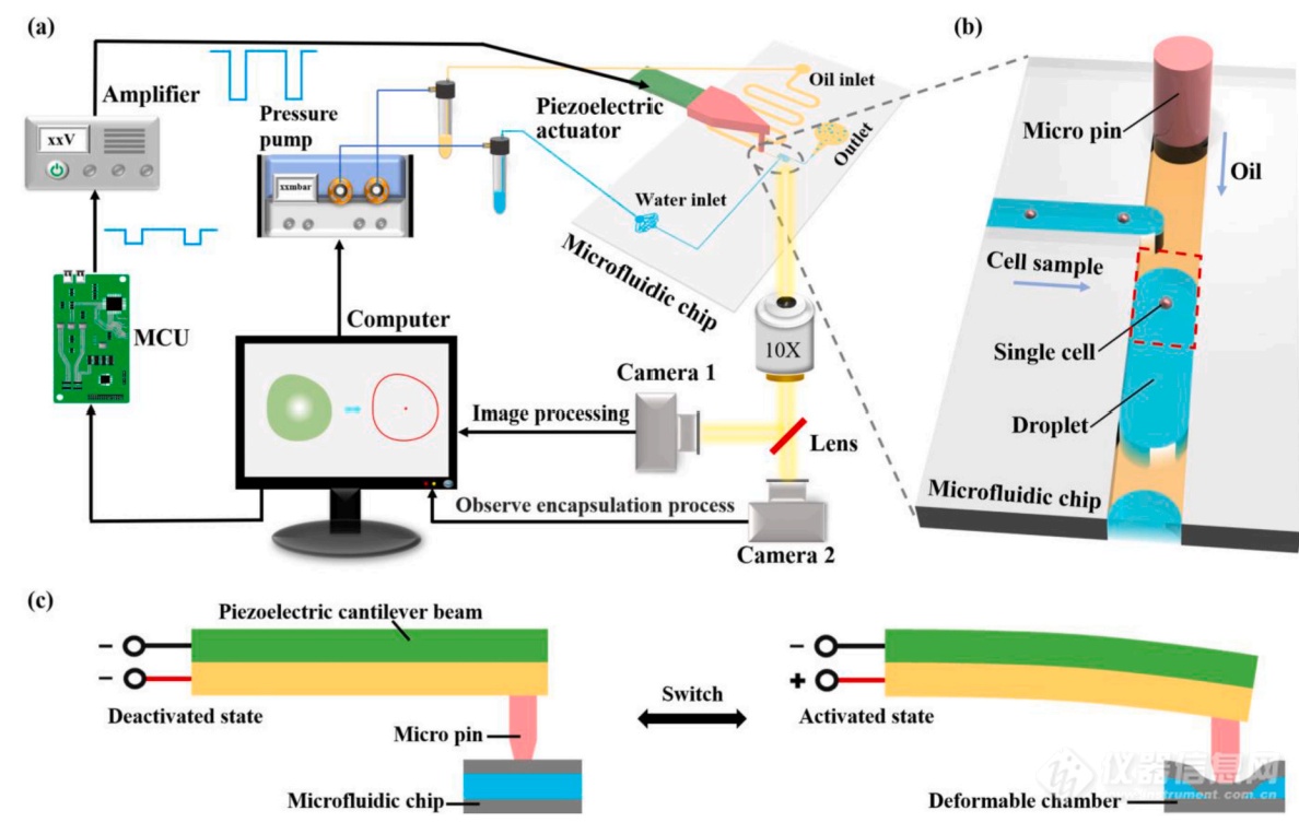 single cell encapsulation.png