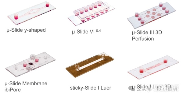 为什么高校、科研实验室、研究所等机构会选用ibidi的流体剪切力系统？