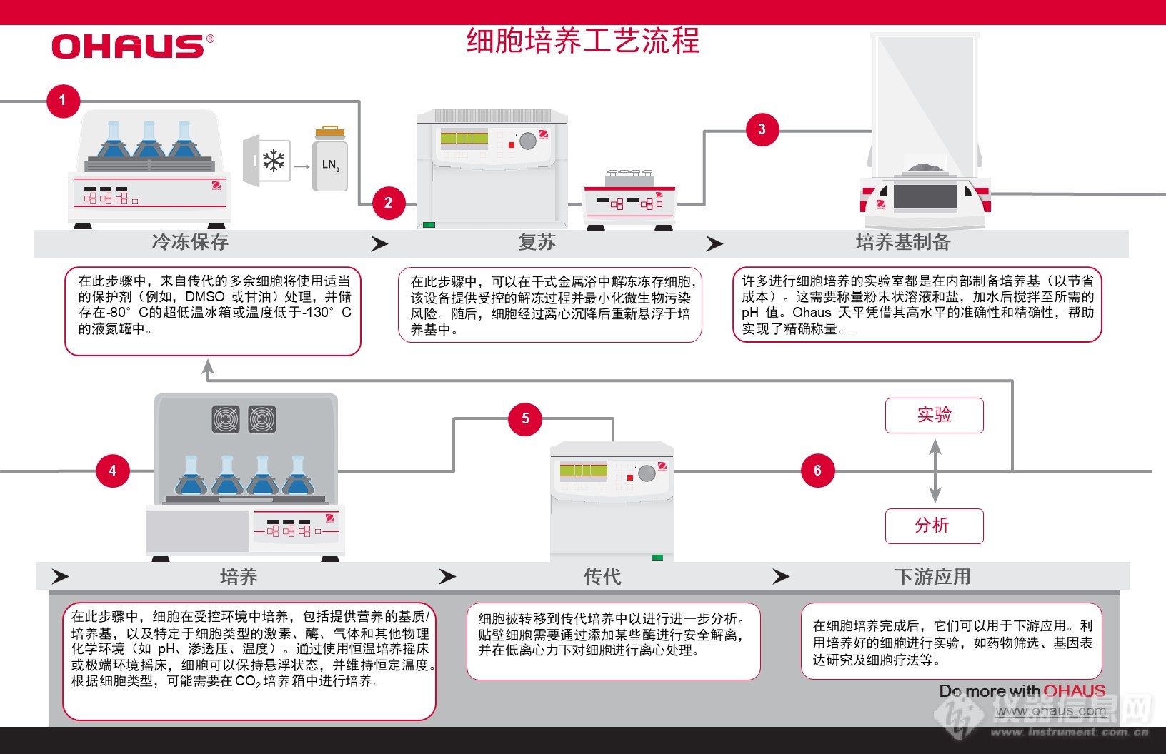 NEW Cell Culture Workflow- CNpdf_updated.jpg