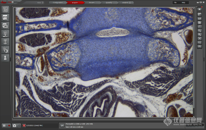 Leica Application Suite X – imaging and Analysis Software for life Science research