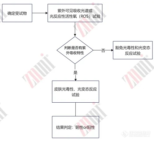 水杨酸己酯安全性：从光安全性到人体研究