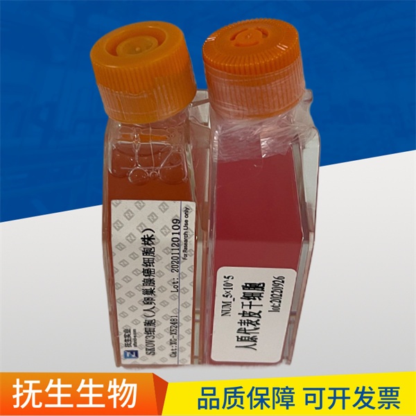 HDLM-2人霍奇金淋巴瘤细胞