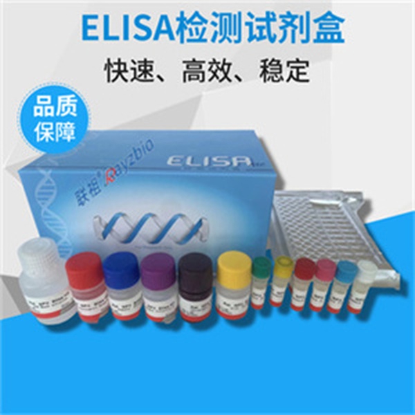 人异质性胞核核糖核蛋白A1(hnRNP A1)ELISA试剂盒