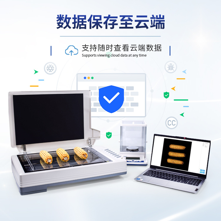 玉米截面分析系统 自动玉米考种分析仪