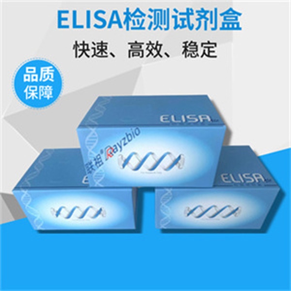 人异质性胞核核糖核蛋白A3(hnRNP A3)ELISA试剂盒