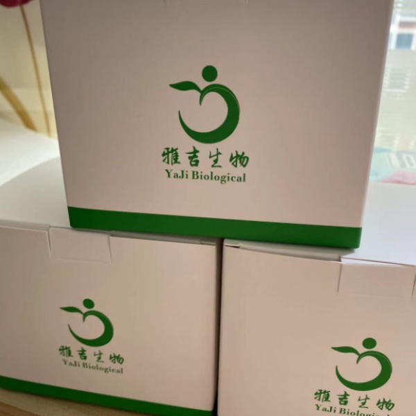 鼠疫耶尔森菌(鼠疫杆菌)PCR试剂盒