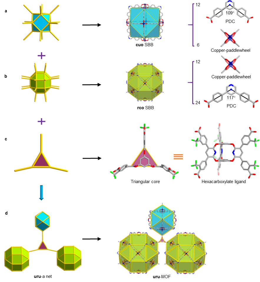 Nat Synth：异质化超分子构筑模块策略组装高孔隙率3,12,24-连接金属有机框架