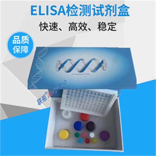 人异质性胞核核糖核蛋白L(hnRNP L)ELISA试剂盒