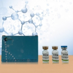 Recombinant Surfactant Associated Protein D (SPD) XY94835RPHu01