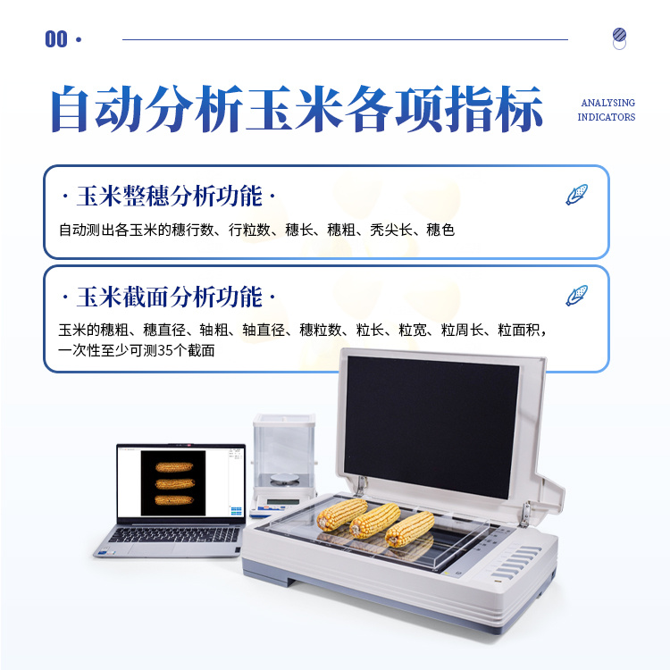 玉米截面分析系统 自动玉米考种分析仪