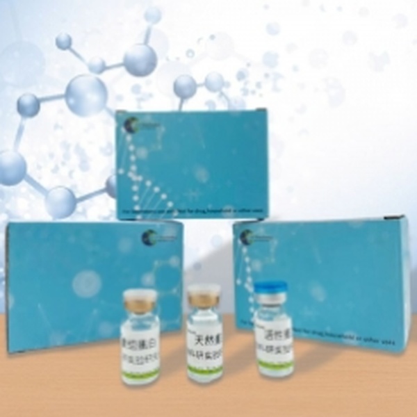 Recombinant Adrenomedullin (ADM) XY90220RPBo01