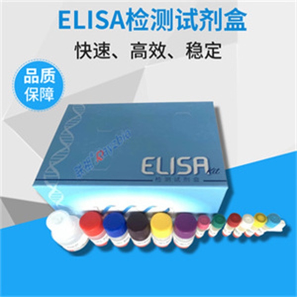 人延伸蛋白A(EloA)ELISA试剂盒