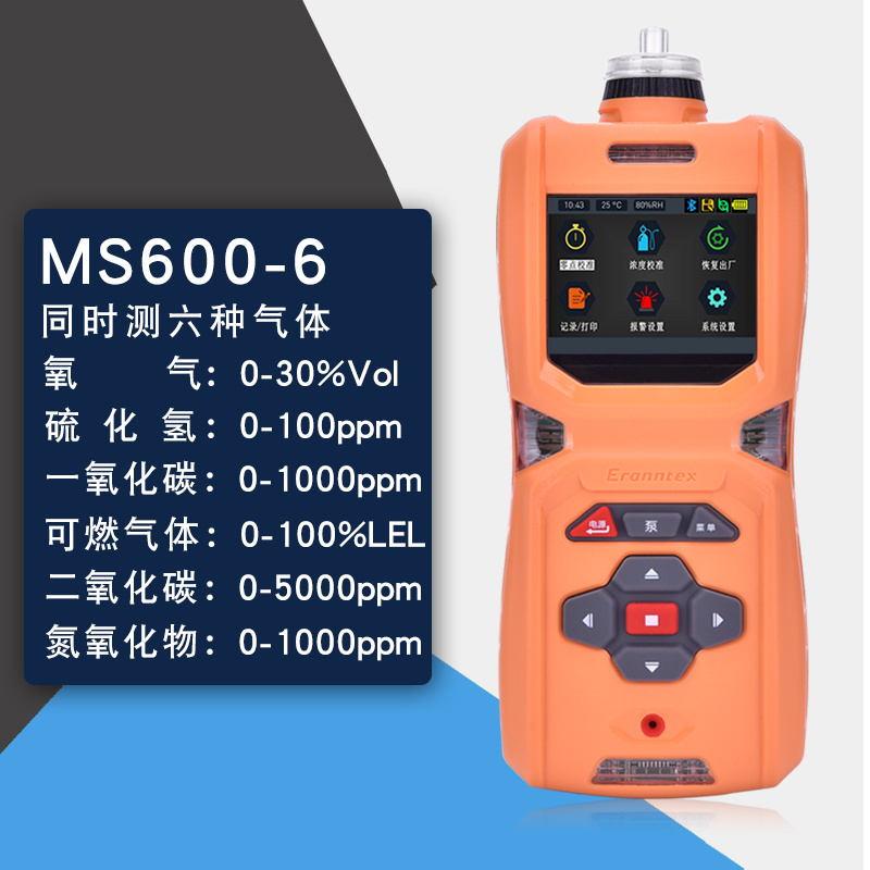 复合气体检测 MS600-6便携式复合气体检测仪