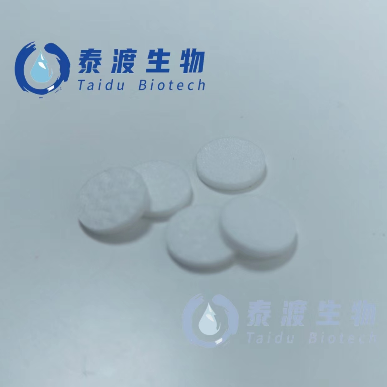 在线滤膜(10/pkg)