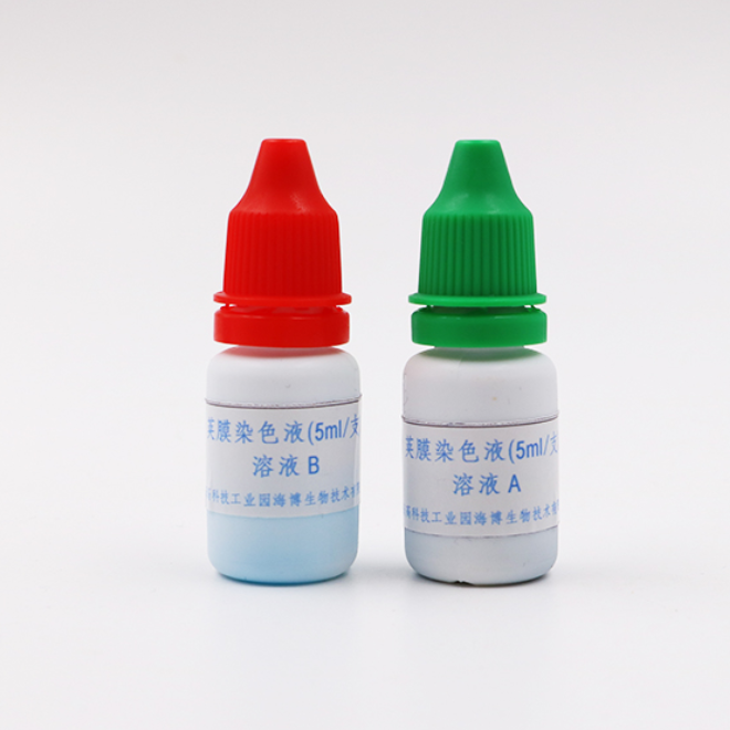 荚膜染色液      HB8301	5ml*4