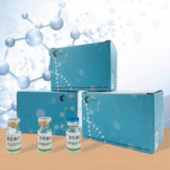 Recombinant Surfactant Associated Protein D (SPD) XY94835RPHu01