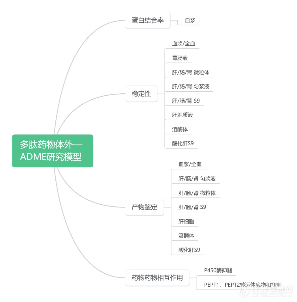 IPHASE/汇智和源 多肽类药物体外ADME研究一站式产品解决方案