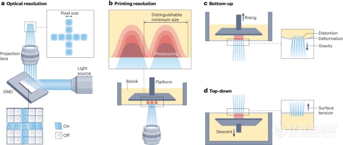 突破生物打印极限，优化高分辨率3D生物制造技术！