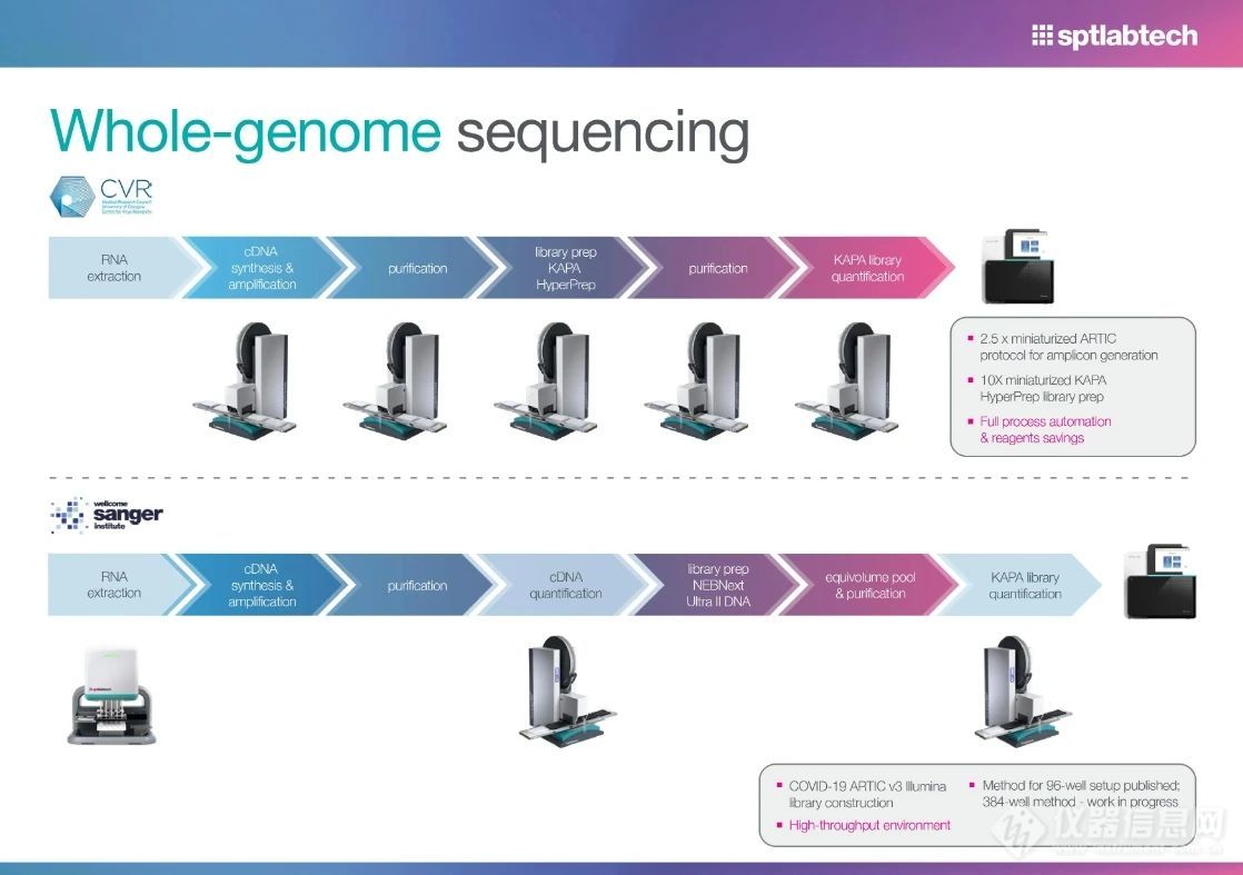 微缩化NGS建库方案40+：SPT高通量384孔建库降本增效全攻略