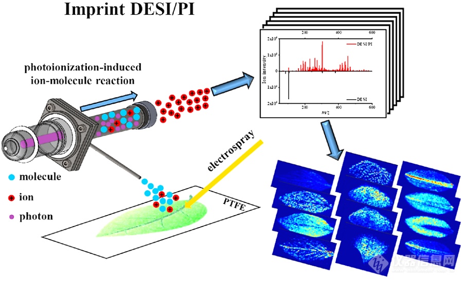 单光子后电离质谱成像方案：分子影像革新者