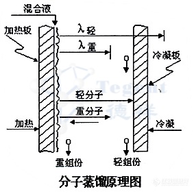 分子蒸馏技术在天然维生素E分离提纯中的应用