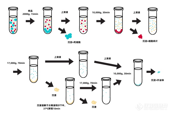 【配图2】以试剂盒法为例，提取外泌体的步骤.png