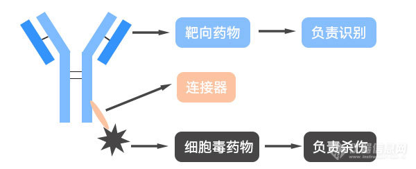 精粹流滤，精准制造 | 切向流过滤技术与ADC药物制备